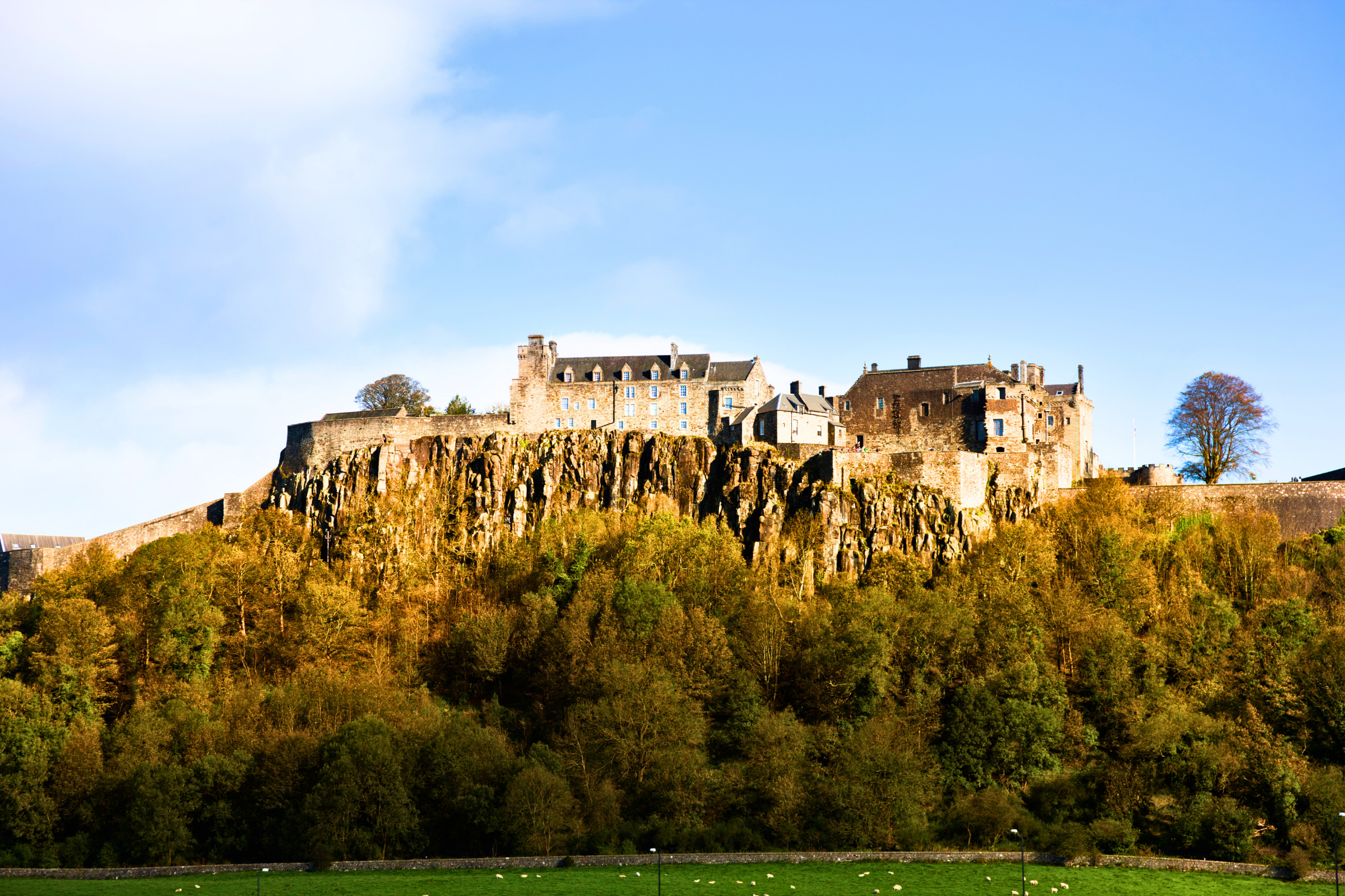 stirling (2).webp